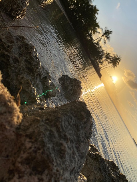 Free Beach Sea photo and picture