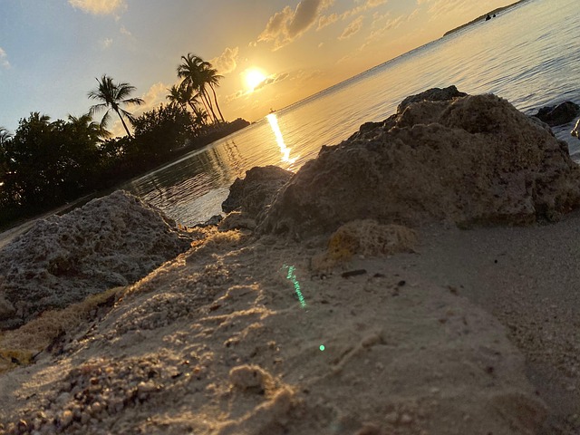 Free Beach Sea photo and picture