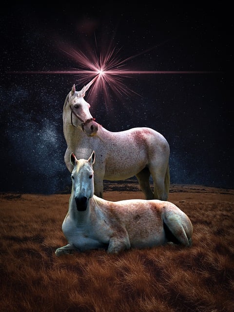 Free Horse Unicorn illustration and picture