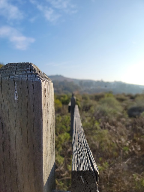 Free Wooden Fence Meadow photo and picture