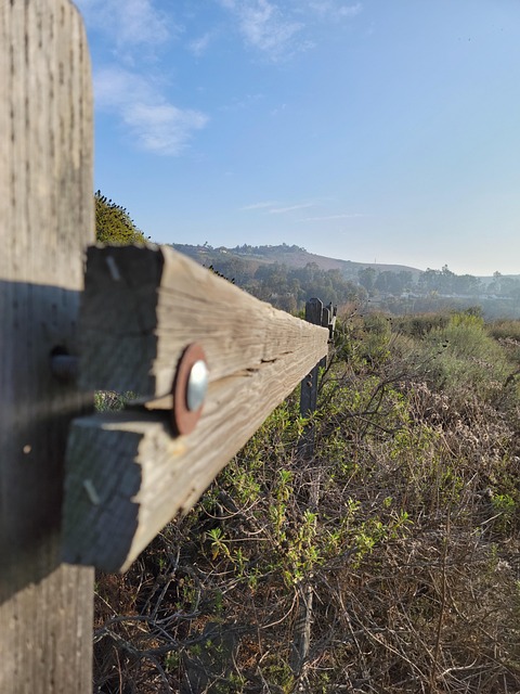 Free Wooden Fence Meadow photo and picture