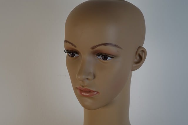 Free mannequin head face illustration