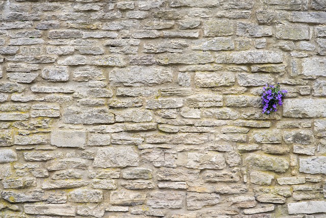 Free Wall Stone Wall photo and picture