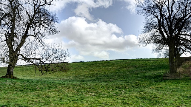 Free Field Hill photo and picture