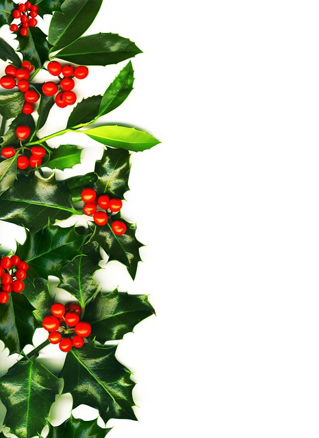 Holly Border Background Copy - Free image on Pixabay