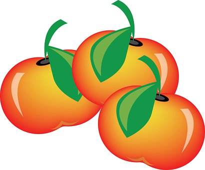 Free Tomatoes Vegetable illustration and picture