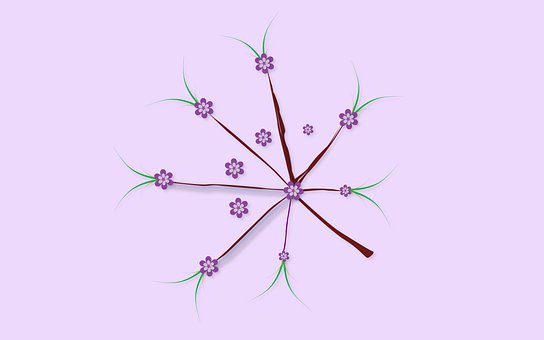 Free Flower Nature illustration and picture