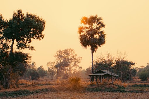 Free Cornfield Countryside photo and picture