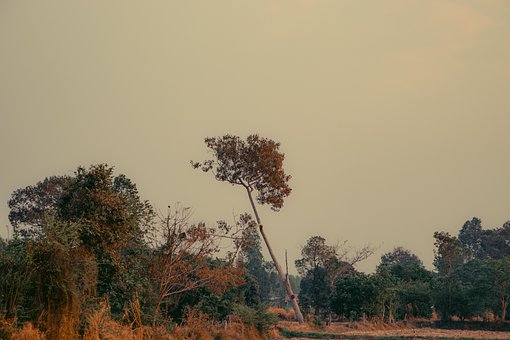 Free Field Countryside photo and picture