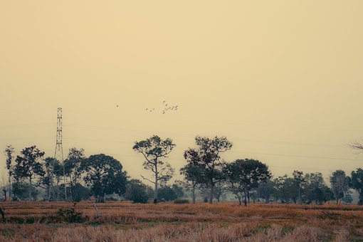 Free Field Countryside photo and picture