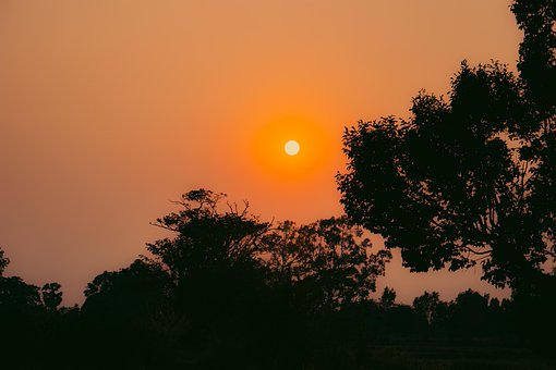 Free Sunset Shadow photo and picture