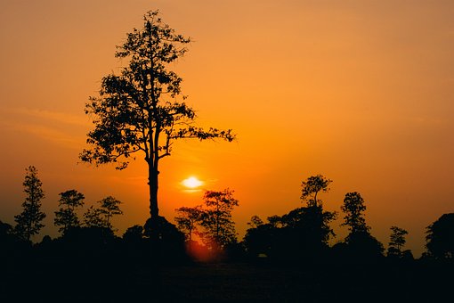 Free Sunset Sunrise photo and picture