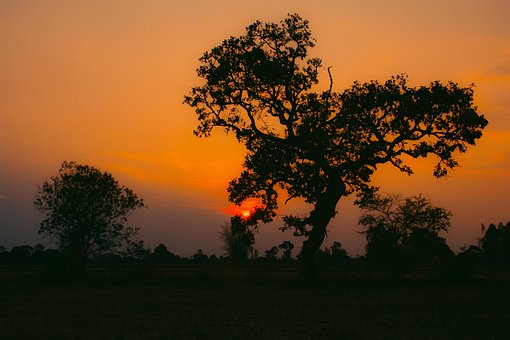 Free Sunset Sunrise photo and picture