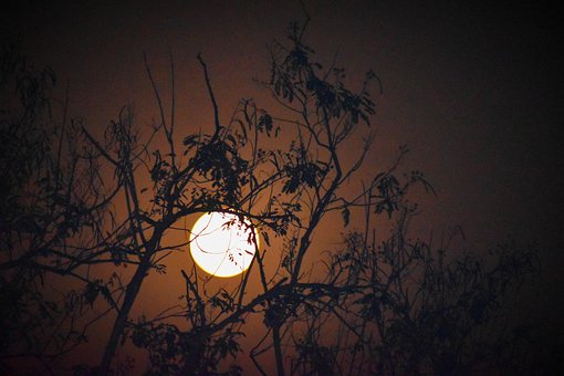 Free Moon Brown Sky photo and picture