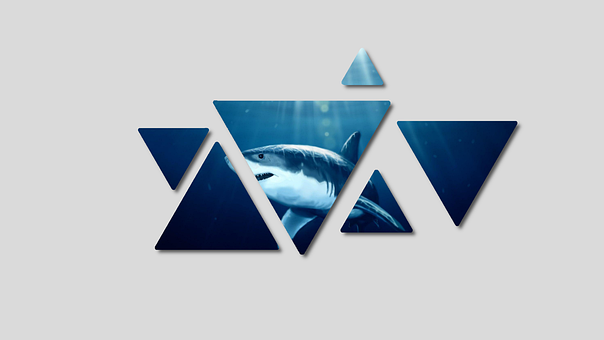 Free Fish Water illustration and picture