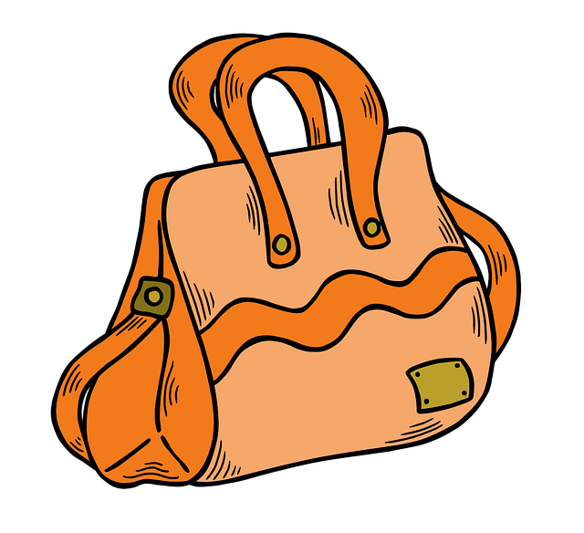 Free bag handbag accessories illustration