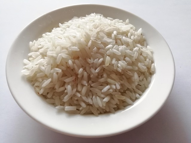 Free Rice Bowl photo and picture