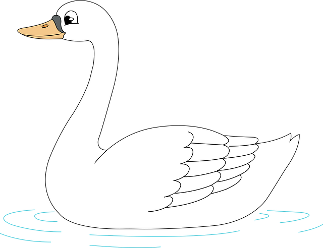 Svane, Fugl, Vilde Fugle, Vand, Natur