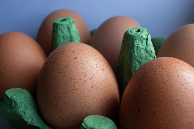 Vejce, Velikonoční, Jídlo, Protein