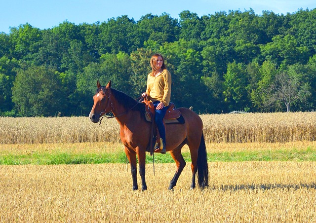 Pferd, Frau, Reiten, Mädchen, Tier