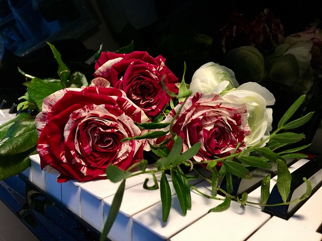 Free Rose With Keys Romance photo and picture