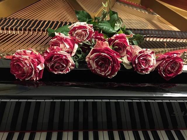 Free Red Roses With Piano Romance photo and picture