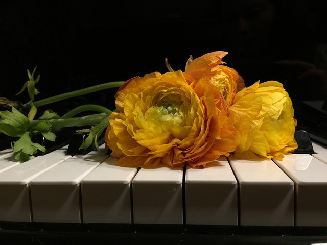 Free Romance Yellow Flowers On Piano Keys photo and picture
