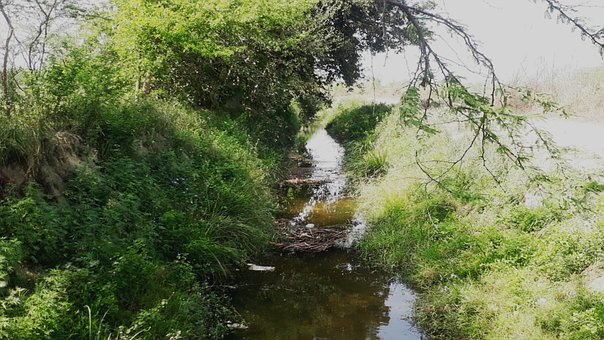 Natur, Julie Jasmin Træ, Lille Flod