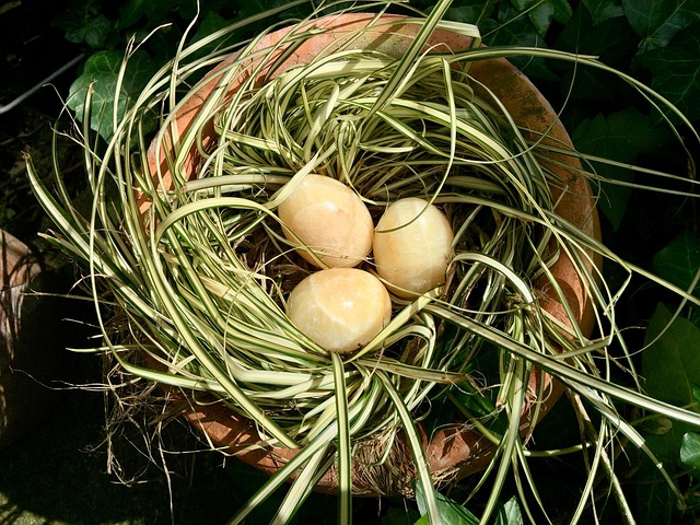 Free Easter Egg Mineral photo and picture
