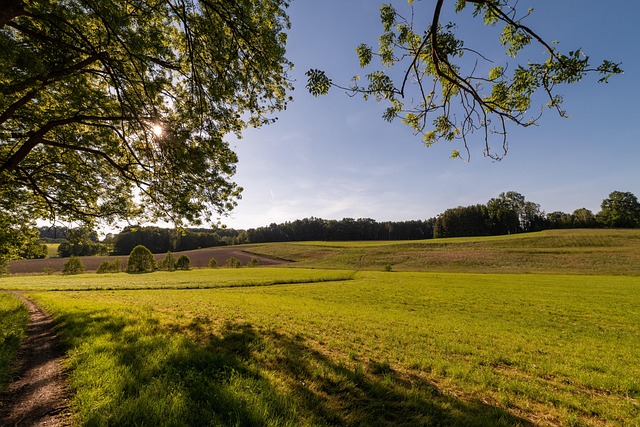 Free Meadow Landscape photo and picture