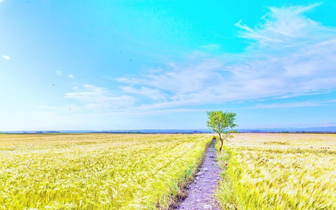 Plain Landscape - Free photo on Pixabay - Pixabay