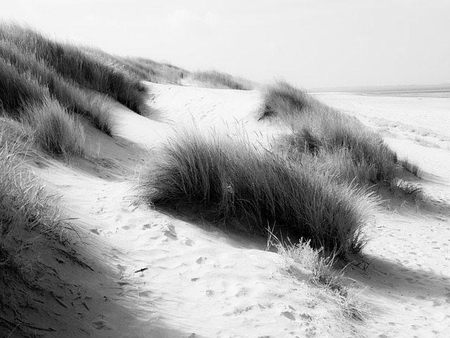 Frise Orientale Nord Sable Photo gratuite sur Pixabay Pixabay
