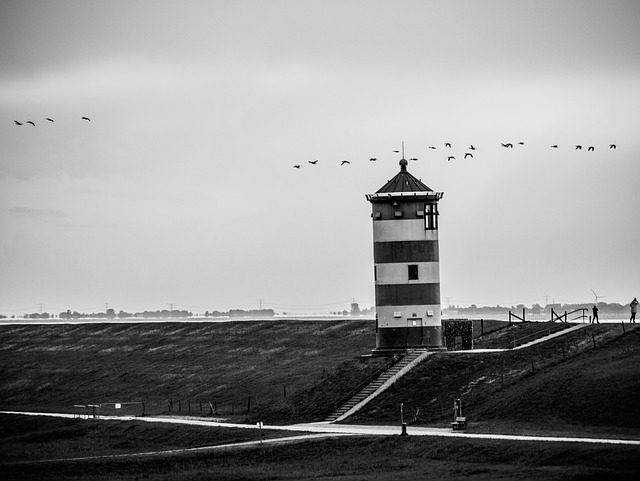Lighthouse Coast Black And White - Free photo on Pixabay - Pixabay