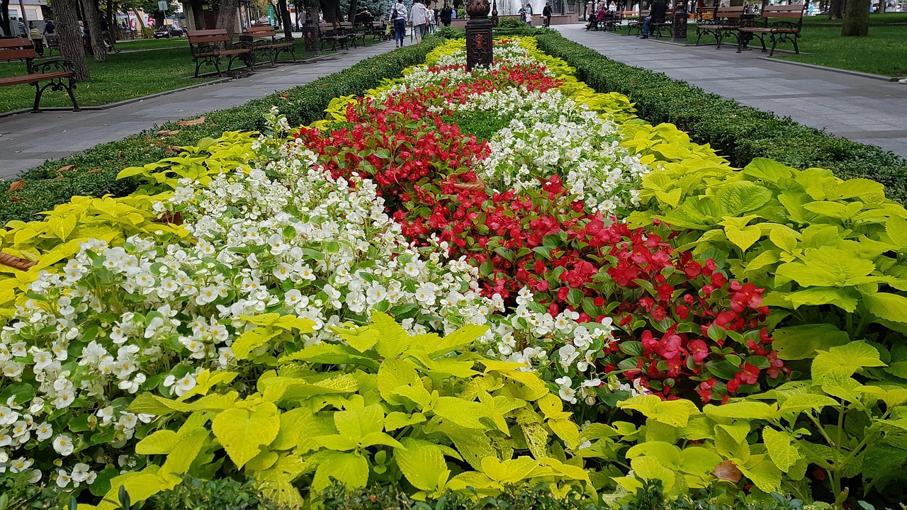 Flowers Ukraine Free photo on Pixabay Pixabay