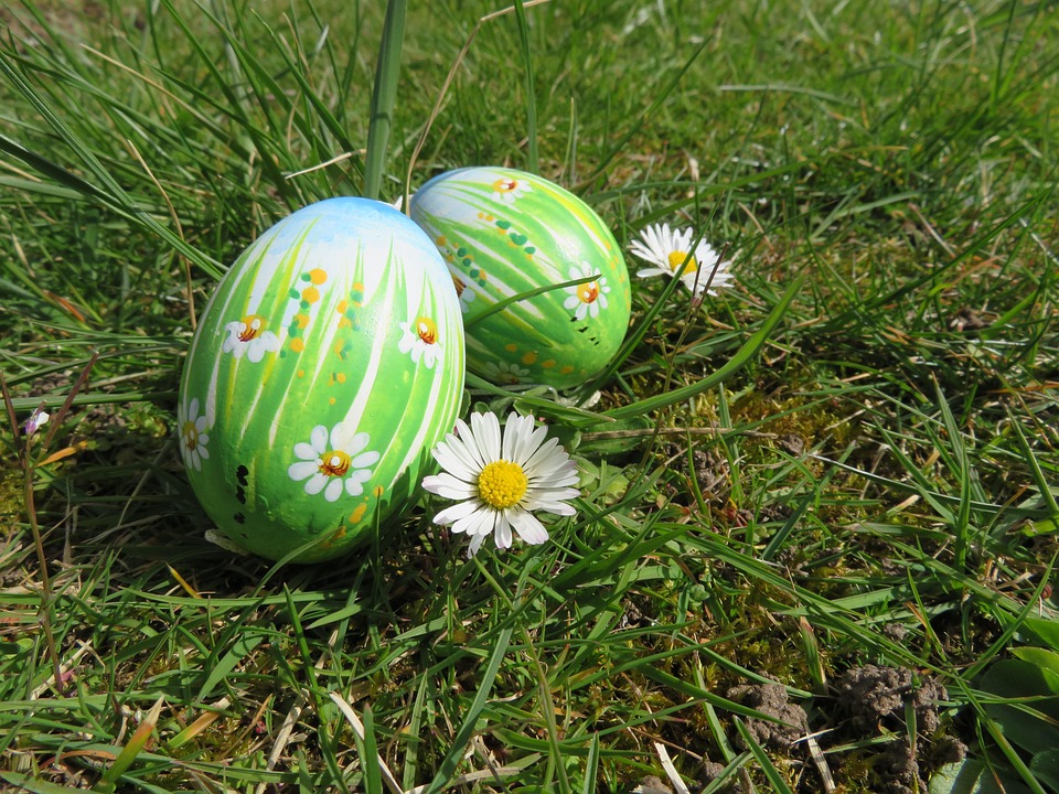 easter-eggs-daisy-free-photo-on-pixabay-pixabay
