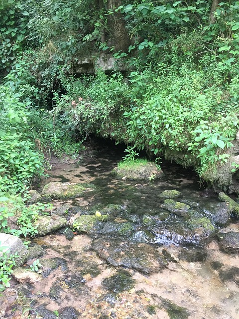 Free Spring Water photo and picture