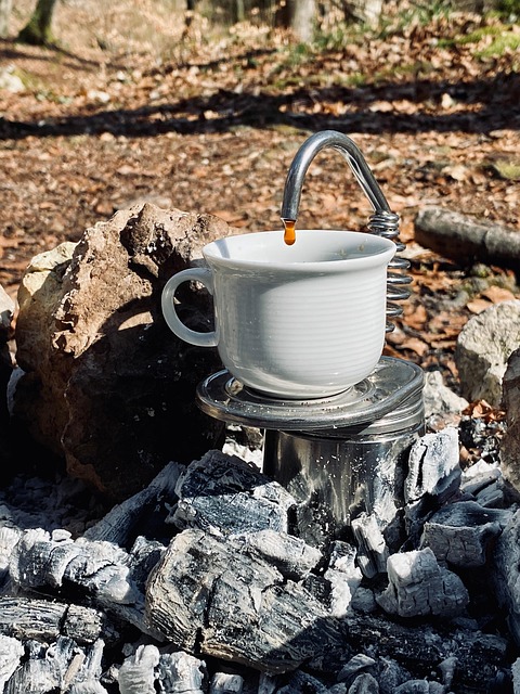 Free Coffee Nature photo and picture