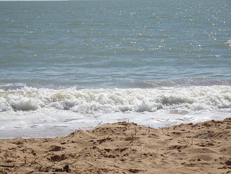 Free Ocean Summer photo and picture