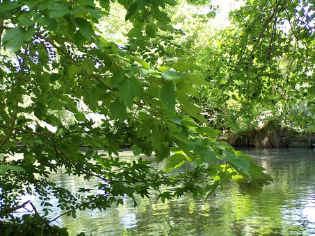 Free Water Shore photo and picture
