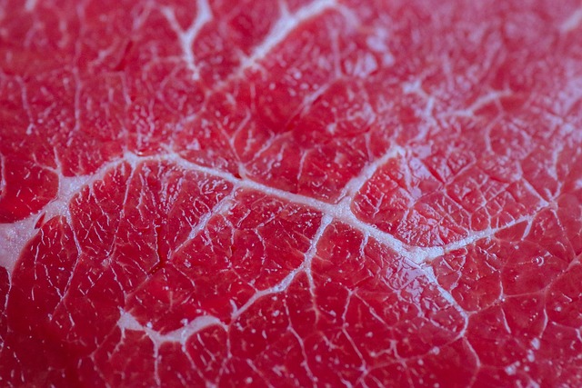 Hovězí, Carpaccio, Předkrm, Drsný