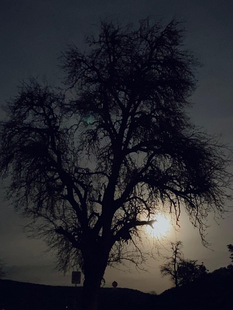 Free Evening Atmosphere Grief photo and picture