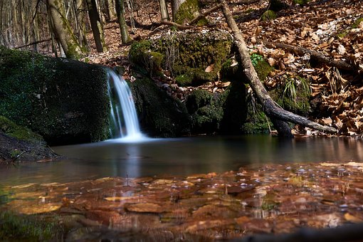 Free Waterfall Stream photo and picture