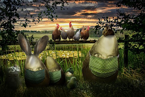 Free Easter Eggs photo and picture