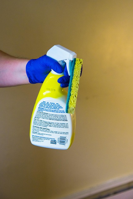 Free Clean Cleaning Supplies photo and picture