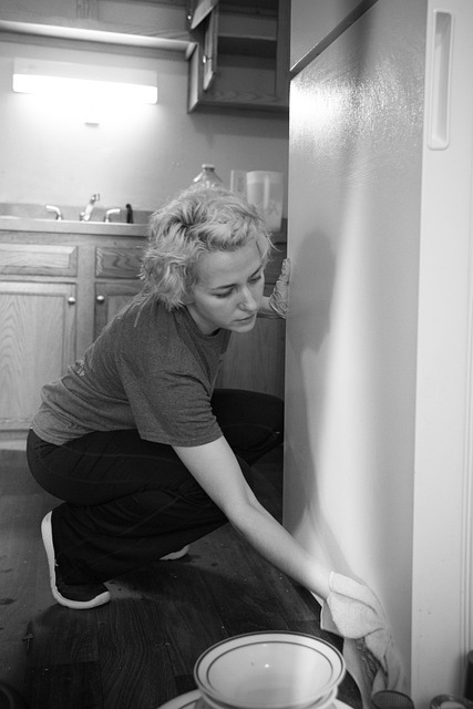 Free Cleaning Housecleaning photo and picture