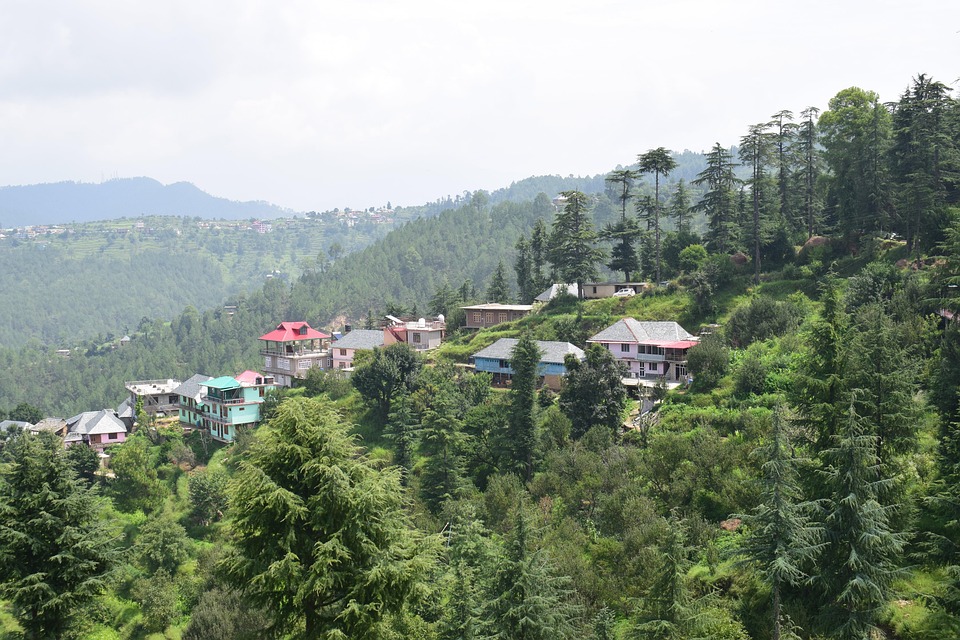 Churag Dry Fruit Pahad Se Himachal - Free photo on Pixabay