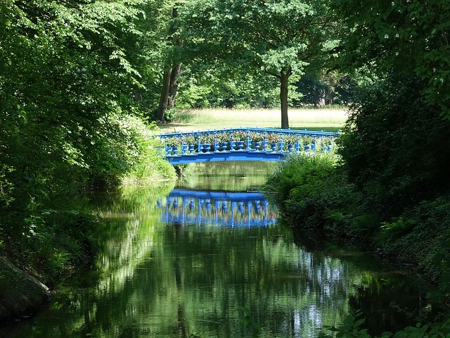 Free Bridge Water photo and picture