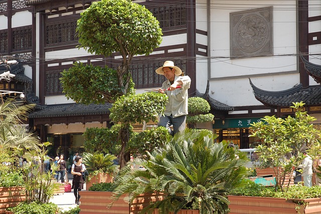 Free Shanghai Gardener photo and picture