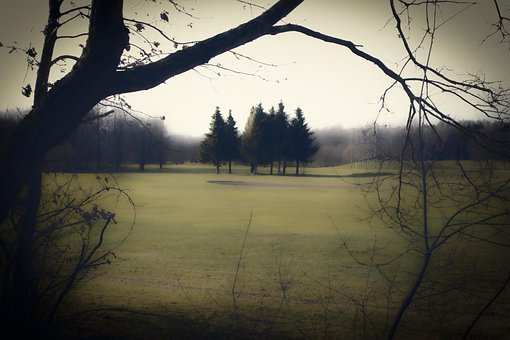 Free Artistic Old photo and picture