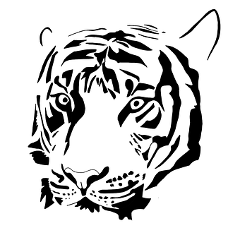Tiger, Digital Kunst, Grafisk Design